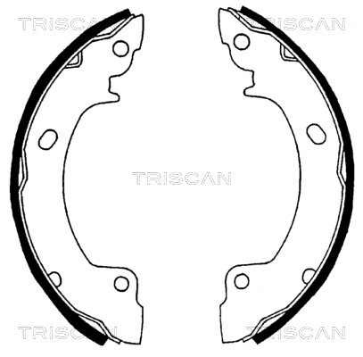 TRISCAN 8100 43529...