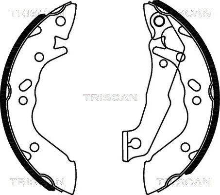 TRISCAN 8100 43560...