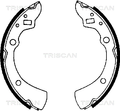 TRISCAN 8100 50359...