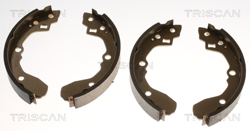 TRISCAN 8100 50406 Bremsbackensatz