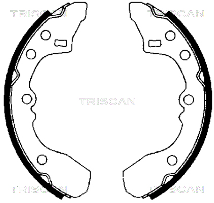TRISCAN 8100 50434...