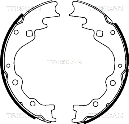 TRISCAN 8100 50461...