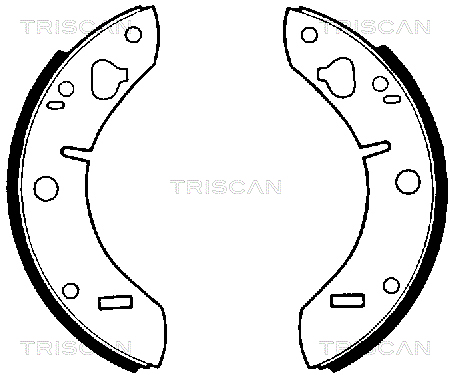 TRISCAN 8100 65011 Bromsbackar, sats