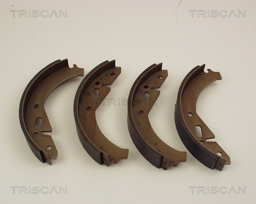TRISCAN 8100 67305...