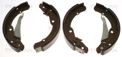 TRISCAN 8100 67631 Bremsbackensatz