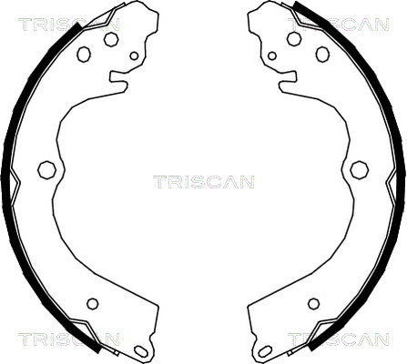 TRISCAN 8100 68005 Bromsbackar, sats, parkeringsbroms