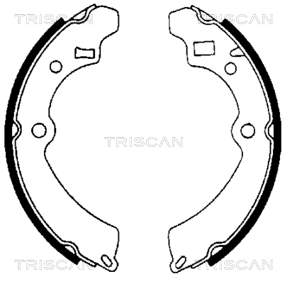 TRISCAN 8100 69521...