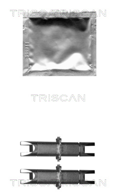 TRISCAN 8105 803001 Staginställning, bromssystem