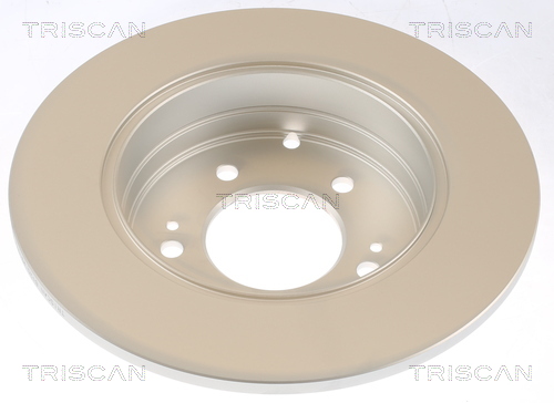 TRISCAN 8120 43177C Bromsskiva