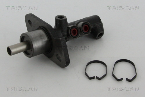 TRISCAN 8130 16170 Hauptbremszylinder