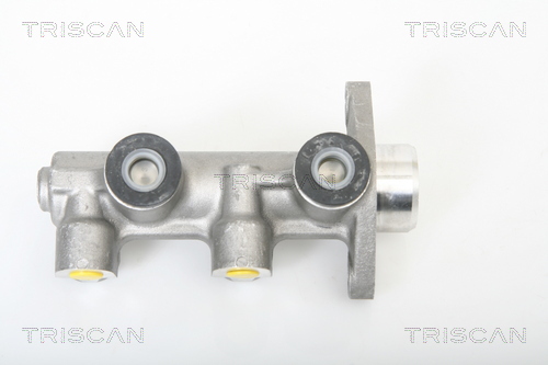 TRISCAN 8130 21102 Hauptbremszylinder