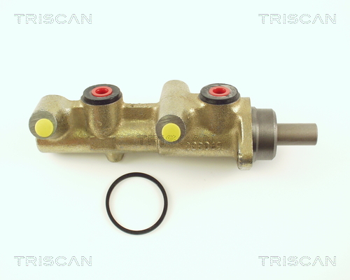 TRISCAN 8130 23100 Hauptbremszylinder