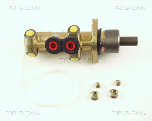 TRISCAN 8130 25113 Hauptbremszylinder