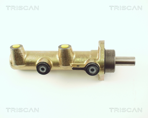 TRISCAN 8130 25114 Hauptbremszylinder