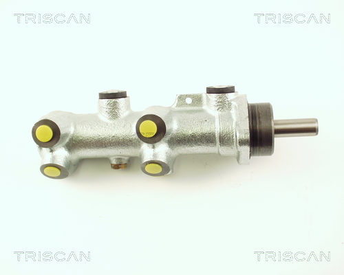 TRISCAN 8130 25119 Hauptbremszylinder