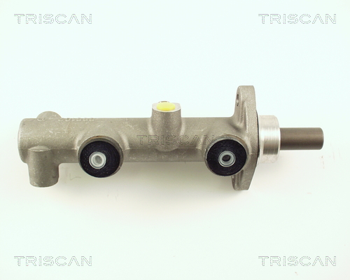 TRISCAN 8130 29105 Hauptbremszylinder
