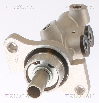 TRISCAN 8130 29176 Hauptbremszylinder