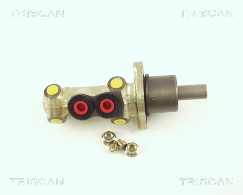 TRISCAN 8130 38108 Hauptbremszylinder
