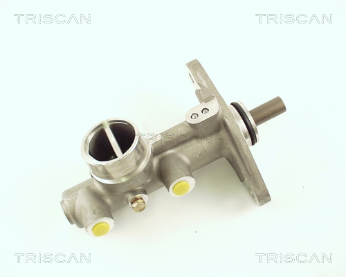 TRISCAN 8130 40100 Hauptbremszylinder