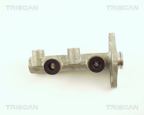 TRISCAN 8130 50100 Huvudbromscylinder