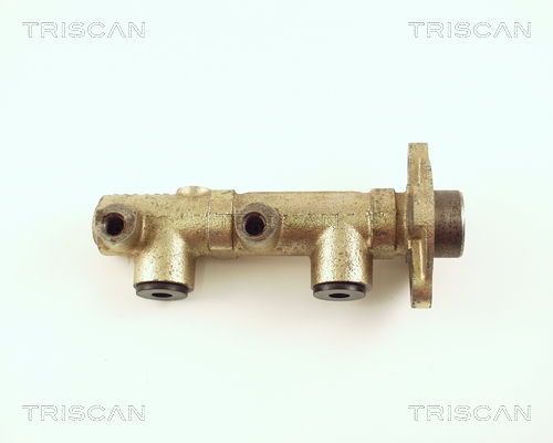TRISCAN 8130 50101 Huvudbromscylinder
