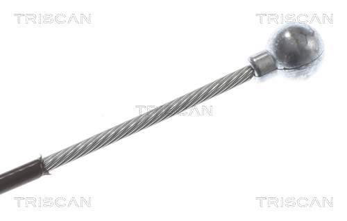 TRISCAN 8140 231166 Seilzug, Feststellbremse