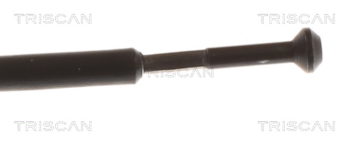 TRISCAN 8140 24602 Motorhaubenzug