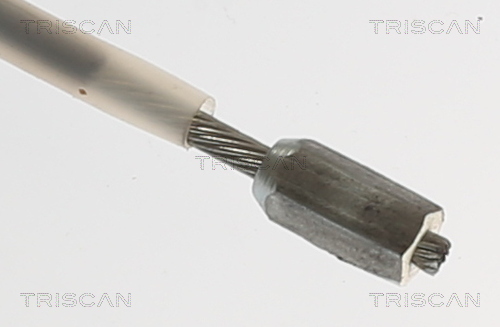 TRISCAN 8140 251249 Seilzug, Feststellbremse
