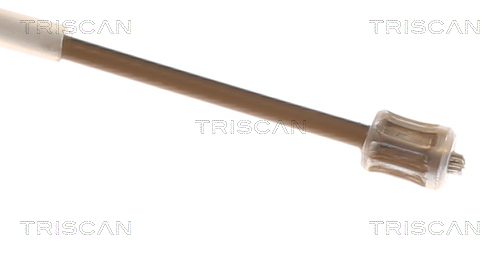 TRISCAN 8140 251267 Seilzug, Feststellbremse