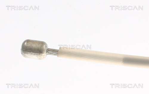 TRISCAN 8140 291191 Seilzug, Feststellbremse