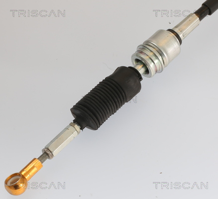 TRISCAN 8140 29722 Seilzug, Automatikgetriebe