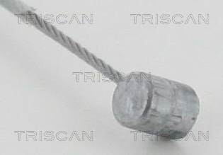 TRISCAN 8140 43317 Gaszug