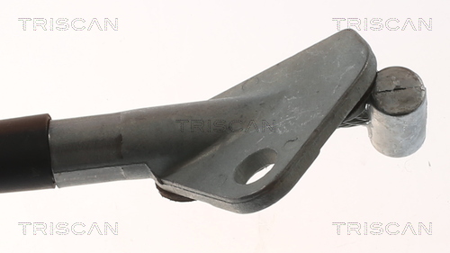 TRISCAN 8140 69178 Seilzug, Feststellbremse