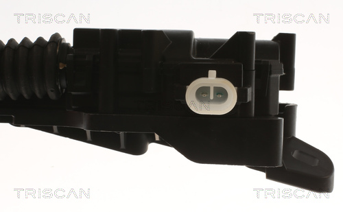 TRISCAN 8140 81600 Motorhaubenzug