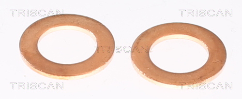 TRISCAN 8150 10145 Bremsschlauch