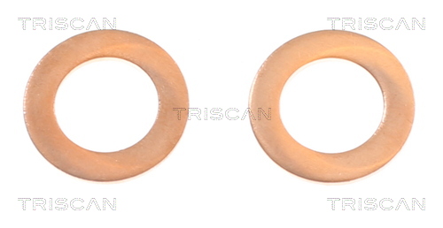 TRISCAN 8150 431011 Bremsschlauch