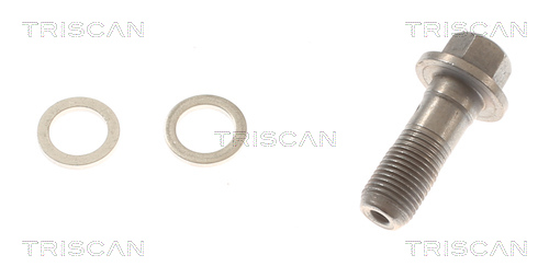 TRISCAN 8150 81006 Bremsschlauch