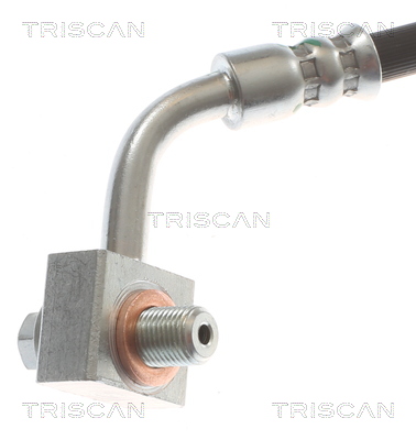 TRISCAN 8150 81010 Bremsschlauch