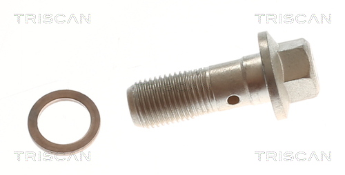 TRISCAN 8150 81011 Bremsschlauch