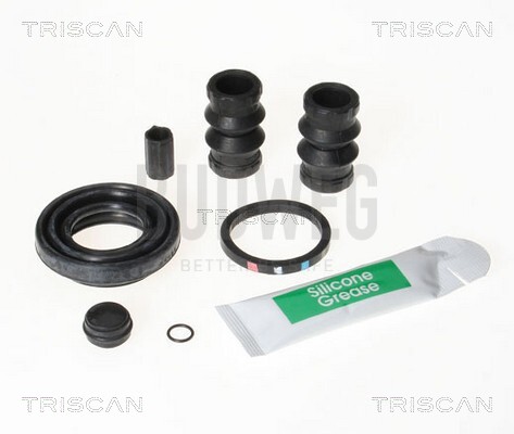 TRISCAN 8170 202801 Reparatursatz, Bremssattel