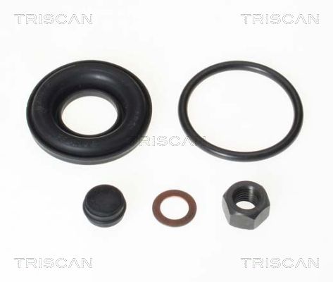 TRISCAN 8170 203807 Reparatursatz, Bremssattel