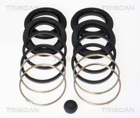 TRISCAN 8170 204208 Reparatursatz, Bremssattel