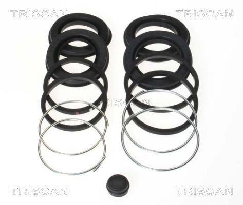 TRISCAN 8170 204212 Reparatursatz, Bremssattel