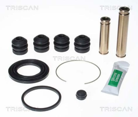 TRISCAN 8170 204316 Reparatursatz, Bremssattel
