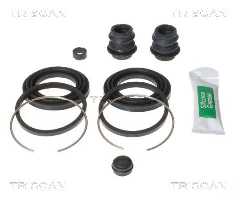 TRISCAN 8170 204319 Reparatursatz, Bremssattel