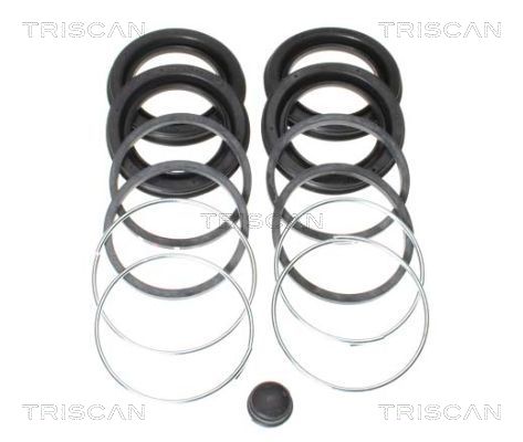 TRISCAN 8170 204341 Reparatursatz, Bremssattel