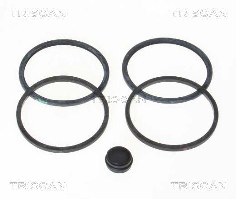 TRISCAN 8170 204506 Reparatursatz, Bremssattel