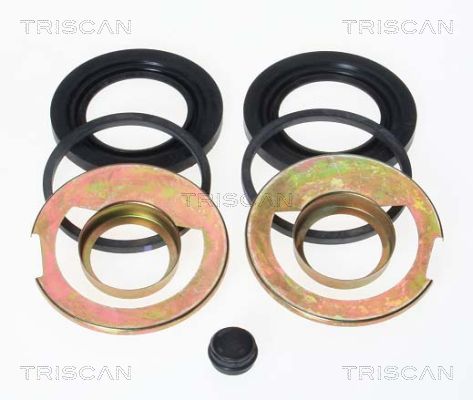 TRISCAN 8170 204603 Reparatursatz, Bremssattel
