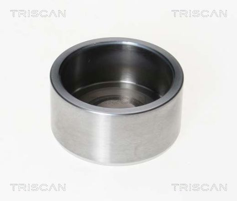 TRISCAN 8170 232141 Kolben, Bremssattel