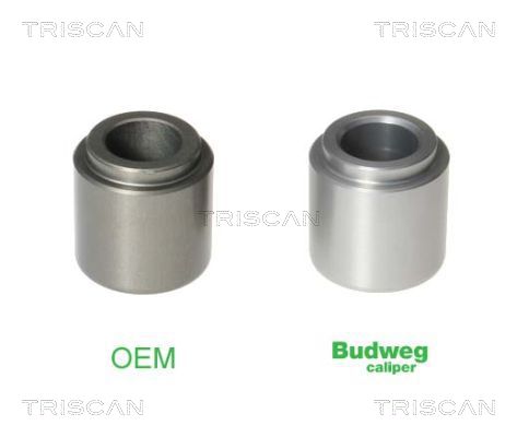 TRISCAN 8170 233209 Kolben, Bremssattel